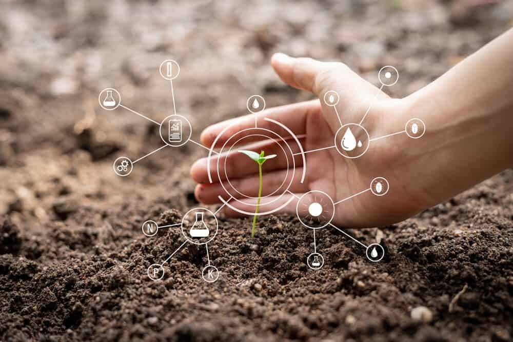 Seedlings grow from fertile soil with Icon digital attached along with other nutrients that are essential for plant growth. Concept of growth, care for the world Towards living things to nature.